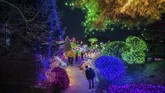 Setiap musim dingin, Korea Selatan menggelar festival cahaya di Taman Garden of Morning Calm. (AFP/Ed Jones)