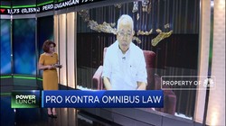 Telisik Cakupan RUU Omnibus Law, Ini Kata Satgas Omnibus Law