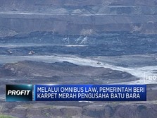 Semua Hepi, Saham Batu Bara Terbang & Ada yang Naik 12%