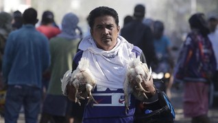 FOTO: Upaya Evakuasi Hewan Peliharaan dari Amuk Gunung Taal