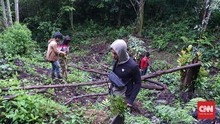 Polres Pagar Alam Bongkar 3 Hektare Ladang Ganja
