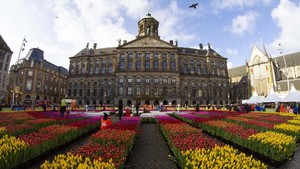 Amsterdam 'Dikepung' Ratusan Ribu Bunga Tulip