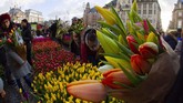 Belanda merupakan produsen tulip terbesar di dunia dan bisnis bunga ini meningkatkan perekonomian warganya. (AP Photo/Peter Dejong)