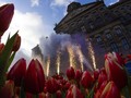 FOTO: Musim Mekar Bunga Tulip Resmi Dimulai