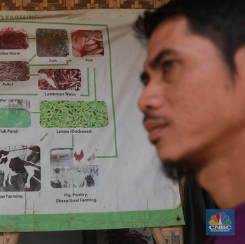 Keren! Pesantren ini Hasilkan Biogas dari Kotoran Ternak Sapi