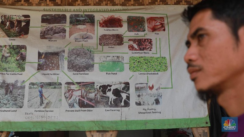 Simak proses pengolahan biogas di peternakan sapi milik Pondok Pesantren Assyafaat, Depok, Jawa Barat.
