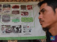 Keren! Pesantren ini Hasilkan Biogas dari Kotoran Ternak Sapi
