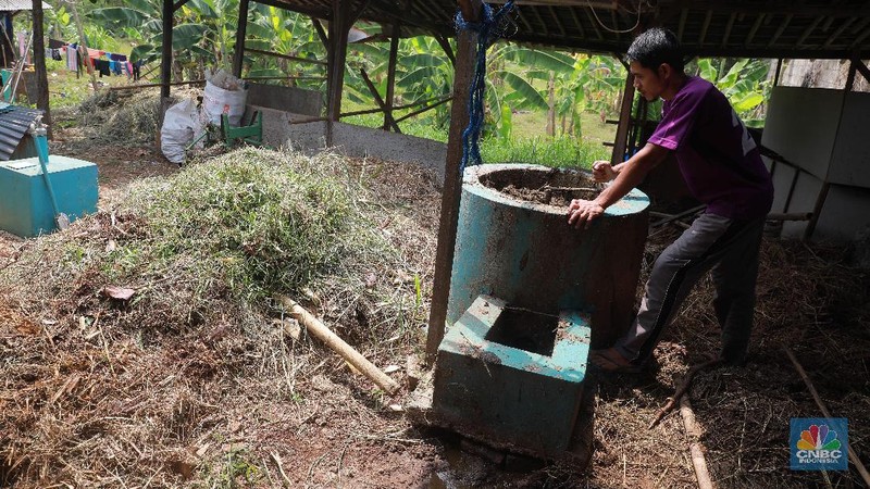 Simak proses pengolahan biogas di peternakan sapi milik Pondok Pesantren Assyafaat, Depok, Jawa Barat.