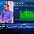 Masih Perkasa, Ada Apa dengan Rupiah?