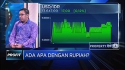 Masih Perkasa, Ada Apa dengan Rupiah?
