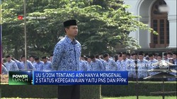 Sah! Pemerintah DPR Sepakat Hapus Tenaga Honorer PNS