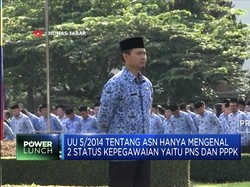 Sah! Pemerintah DPR Sepakat Hapus Tenaga Honorer PNS