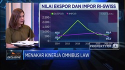 Dubes Muliaman: Omnibus Law Jadi Andalan Menarik Investasi