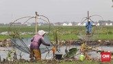Pagi hari waktu yang pas menangkap ikan betik ketika air kali mengalir deras. CNNIndonesia/Safir Makki.
