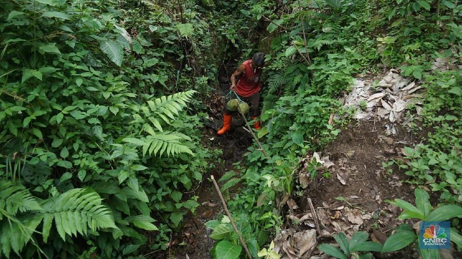 Petani durian membawa hasil panen di kebunnya di desa Rabak, Rumpin, Bogor.