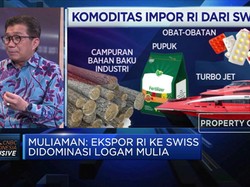 Jadi Duta Ekspor di Swiss, Ini Strategi Dubes Muliaman Hadad