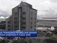 Maret 2020, Inalum Tanda Tangani Pembelian 20% Saham INCO