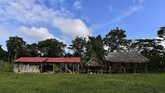 Dinding gereja yang berada di tengah hutan tertutup tanaman sehingga nyaris tidak terlihat oleh masyarakat setempat dan dunia luar. (Luis ACOSTA / AFP)