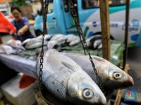 New Normal, Pemerintah Ungkap Strategi di Sektor Perikanan