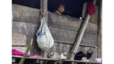 Teror ini terjadi hanya sebulan setelah 17 orang asing dari sekte lain ditangkap di San Carlos. (Luis ACOSTA / AFP)