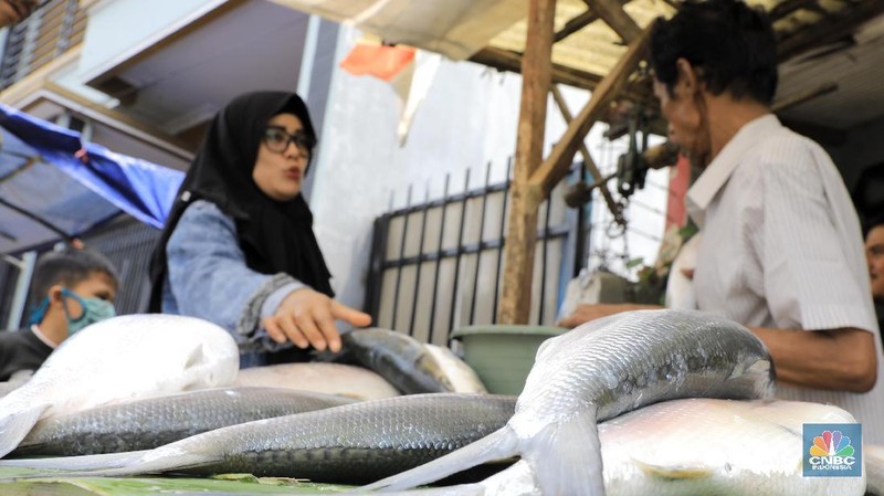 Intip Ramai Pedagang Ikan Bandeng Di Rawa Belong Jelang Imlek