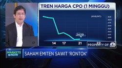 Analisis Kinerja Emiten CPO Akibat Konflik India-Malaysia