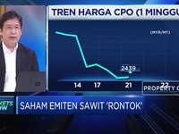 Analisis Kinerja Emiten CPO Akibat Konflik India-Malaysia