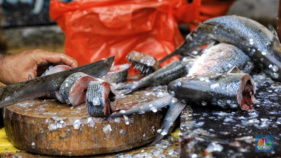 Masyarakat keturunan Tionghoa menyakini mengonsumsi ikan bandeng saat Imlek atau Tahun baru China mendatangkan keberuntungan.