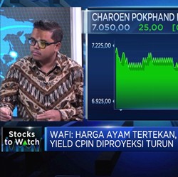 Hitung Dampak Tertekannya Harga Daging pada Emiten Ayam