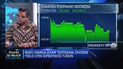 Hitung Dampak Tertekannya Harga Daging pada Emiten Ayam