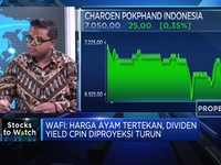 Hitung Dampak Tertekannya Harga Daging pada Emiten Ayam
