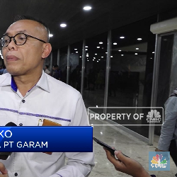 Banjir Impor, Ini Curhat Bos PT Garam