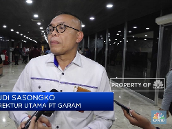 Banjir Impor, Ini Curhat Bos PT Garam