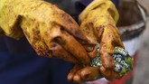 Di bagian utara dan tengah, ulat hitam dan hijau berduri ini dipanen untuk membuat relish dan dijual di pasar. (Monirul Bhuiyan / AFP)