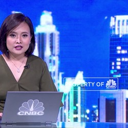 Investor Asal Jepang Borong Saham Indonesia Fibreboard