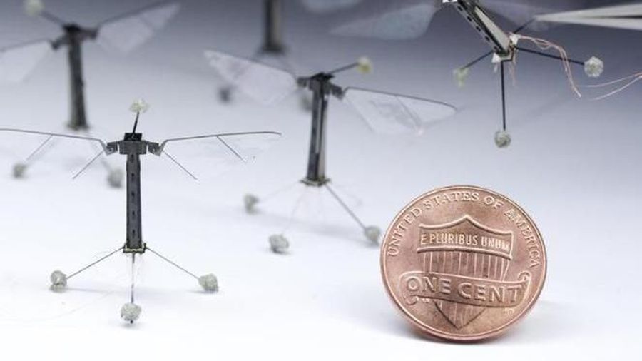 7. RoboBee