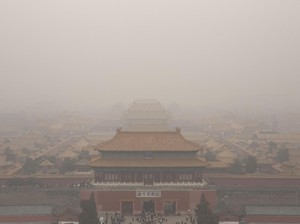 Testis Harimau Jadi Santapan Kaisar China?