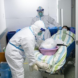 Geger Ilmuan China Sebut Virus Covid-19 Berasal dari Manusia