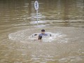 Banjir 3 Meter Belum Surut, Underpass Kemayoran Masih Lumpuh