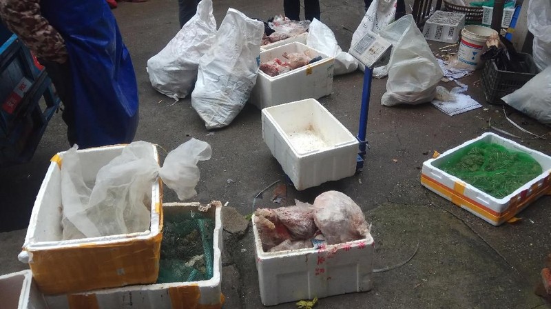 Wabah virus baru yang diduga berasal dari pasar satwa liar di China membuat penegakan hukum setempat untuk bertindak tegas.