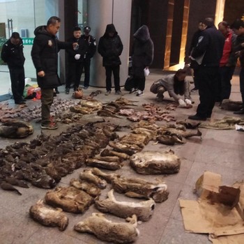 Menengok Pasar Satwa Liar yang Jadi Sumber Wabah Virus Corona