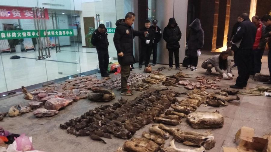 Wabah virus baru yang diduga berasal dari pasar satwa liar di China membuat penegakan hukum setempat untuk bertindak tegas.