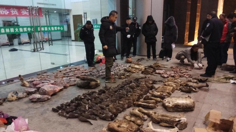 Wabah virus baru yang diduga berasal dari pasar satwa liar di China membuat penegakan hukum setempat untuk bertindak tegas.