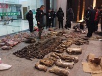 Menengok Pasar Satwa Liar yang Jadi Sumber Wabah Virus Corona