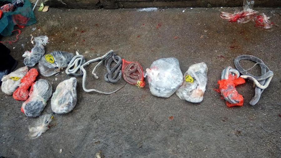 Wabah virus baru yang diduga berasal dari pasar satwa liar di China membuat penegakan hukum setempat untuk bertindak tegas.