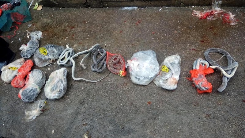Wabah virus baru yang diduga berasal dari pasar satwa liar di China membuat penegakan hukum setempat untuk bertindak tegas.