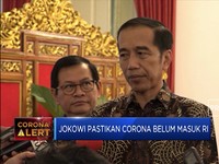 Antisipasi Virus Corona ke RI, Ini Langkah Jokowi