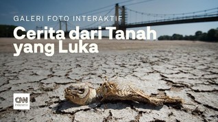 Cerita dari Tanah yang Luka