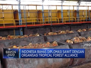 Begini Diplomasi Sawit Kemenko Perekonomian di WEF Davos 2020