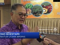 Langkah BPDPKS Memajukan Industri Sawit Nasional